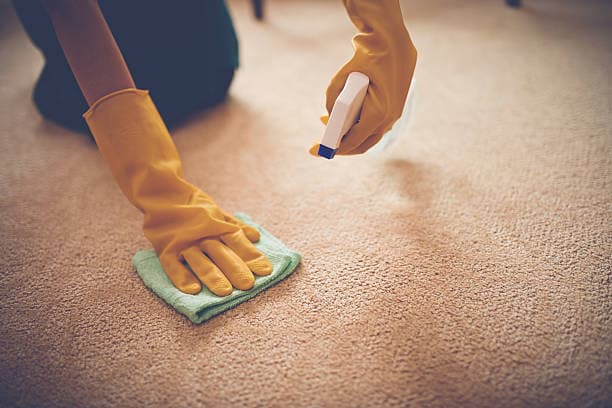 Carpet Cleaning